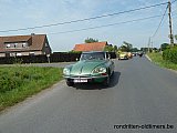 Zandlemig Vlaanderen